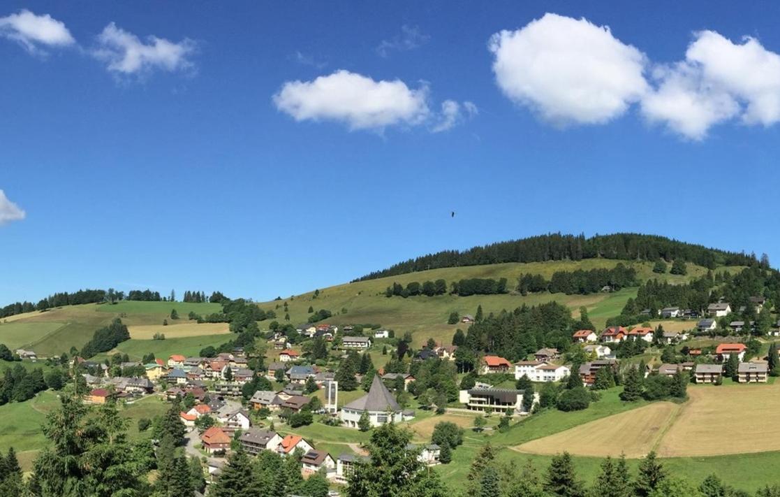 Ferienwohnungen Kehrwieder Todtnauberg Luaran gambar