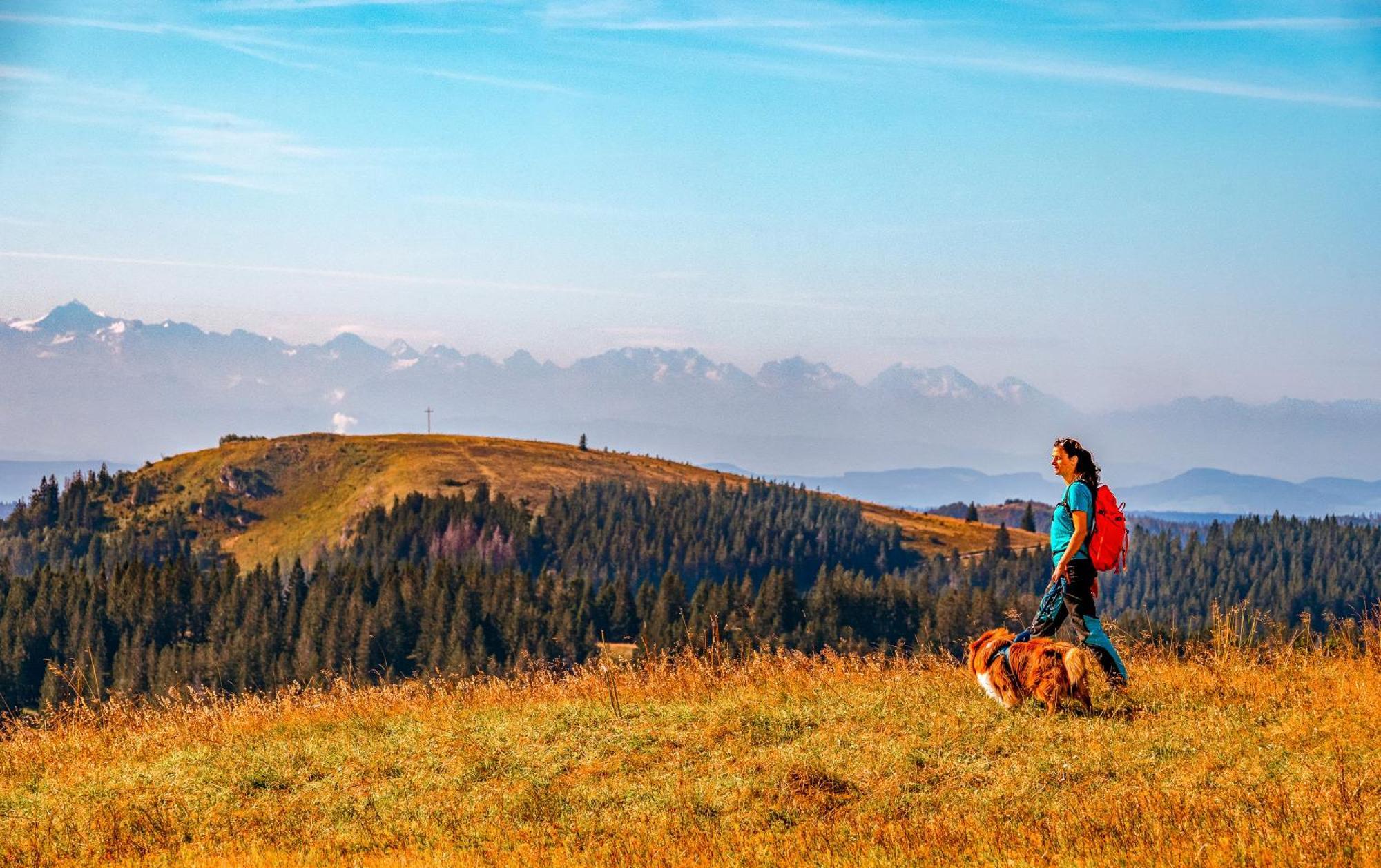 Ferienwohnungen Kehrwieder Todtnauberg Luaran gambar